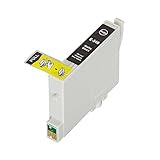 Cartouche T0548 noir matte compatible pour Epson Stylus Photo R800/R1800 capacité 16 ml