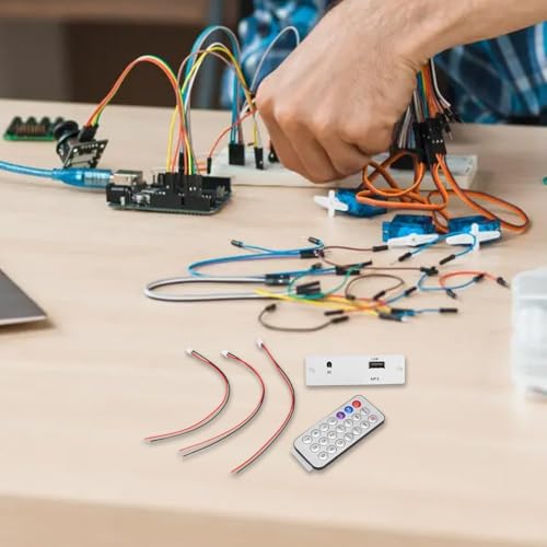 Elektronik DIY Kit zur Montage eines kundenspezifischen Lautsprechers mit integrierten Lötwerkzeugen und Audio Visual (D)
