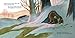 Bear Helps the Forest (Maybe You Help, Too)