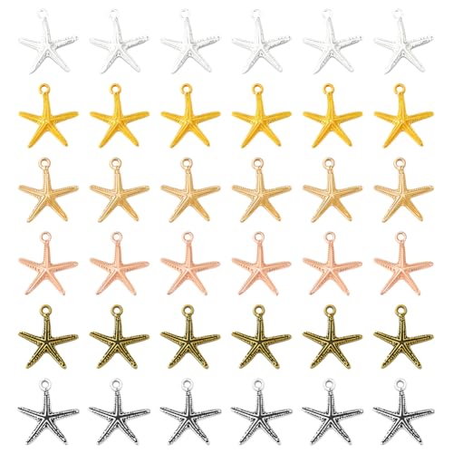 Breloques Étoiles de Mer en Boîte, Idéal Cadeau pour Passionnés DIY - 2