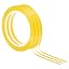 Dark Yellow