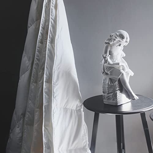 Royoliving Premium Lightweight Greyduck Feathers Down Comforter Luxurious Summer Down Blanket White Duvet Insert Queen Size All Season 100% Cotton Cover Proof With Coner Taps #TOP1