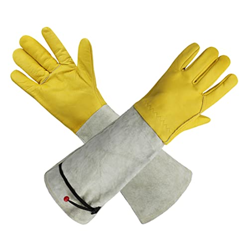 Gants de taille de roses cactus longs pour femmes et hommes en taille L