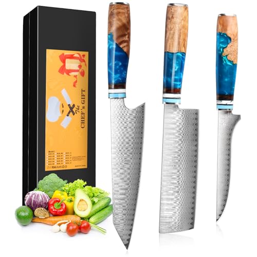 Damascus Knife Set, 3 PCS Kitchen Knife Sets Made of 67 Layers of Vg-10 Steel, Professional Chef Knifes Set Fillet Knifes with Ergonomic Natural Resin Handle, for Home Restaurant, Gift Box
