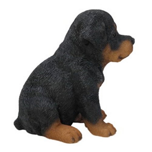 Hi-Line Gift Ltd Sitting Rottweiler Puppy, 6.5"