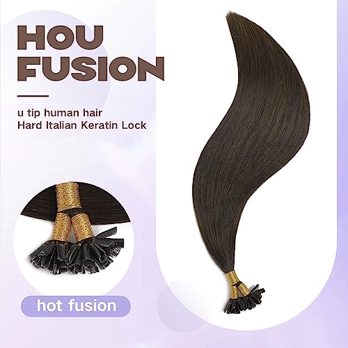 Sindra Dark Brown Hair Extensions U Tip 14 Inch 40g Dark Brown Pre Bonded Fusion Extensions Real Human Hair Straight Nail Keratin #2 14inch - Image 3