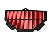  GUODONG Dong Store Limpiador de filtros de Aire de Motocicleta Apto for Suzuki GSR400 GSR600 2006-2010 GSR750 ABS 2011-2013 GSR 400 600 750