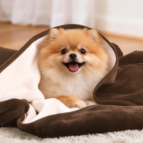 Image of LOOBANI Waterproof Pet Blanket for Couch, Throw Size 50 inchx60 inch, Coffee | Double-Side Liquid Proof Cozy Flannel, Reversible, Stain-Proof Couch Cover for Small Medium Dogs Bed Crate Furniture