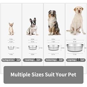Taglory 8 Cup Stainless Steel Dog Bowls Set of 2 for Food and Water Silicone Base Antislip Rust Resistant Extra Thick Metal Dog Bowl for Medium Dogs 59oz Gray  Cucciolini Doodles Taglory 8 cup stainless steel dog bowls set of 2 for food and water silicone base anti slip rust resistant extra thick metal dog bowl for medium dogs 59oz gray   cucciolini doodles