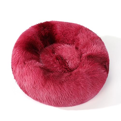 Coipe H~p ӂی^̌LpxbhEybgpbhEELEуybgplXgE~߁EϊEۉybgxbhEp~ELp~