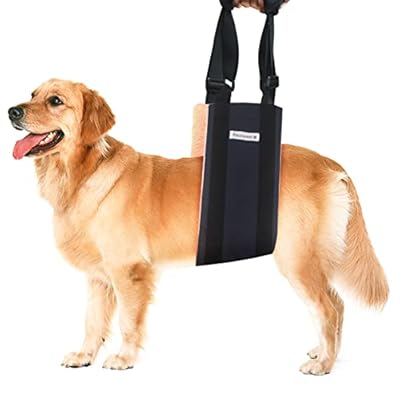 Dog Lift Harness for Back Legs, Petslucent Dog Sling for Large Dogs Hind Rear Leg Support Stair Lifting, for Old K9 ACL Canine Aid, Injured, Disabled Small Medium & Large Breeds (Black Pink)