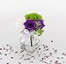 Price comparison product image Casavetro 12 x Small Mini Vase Set Square 120 ml Glass Clear Decorative Flower Vase Wedding (12 x Bowknot White)