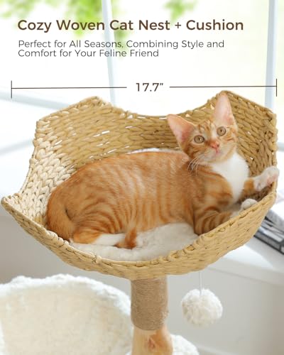 Árbol Moderno para Gatos Grandes de Madera con Hamaca y Rascador miniatura 4
