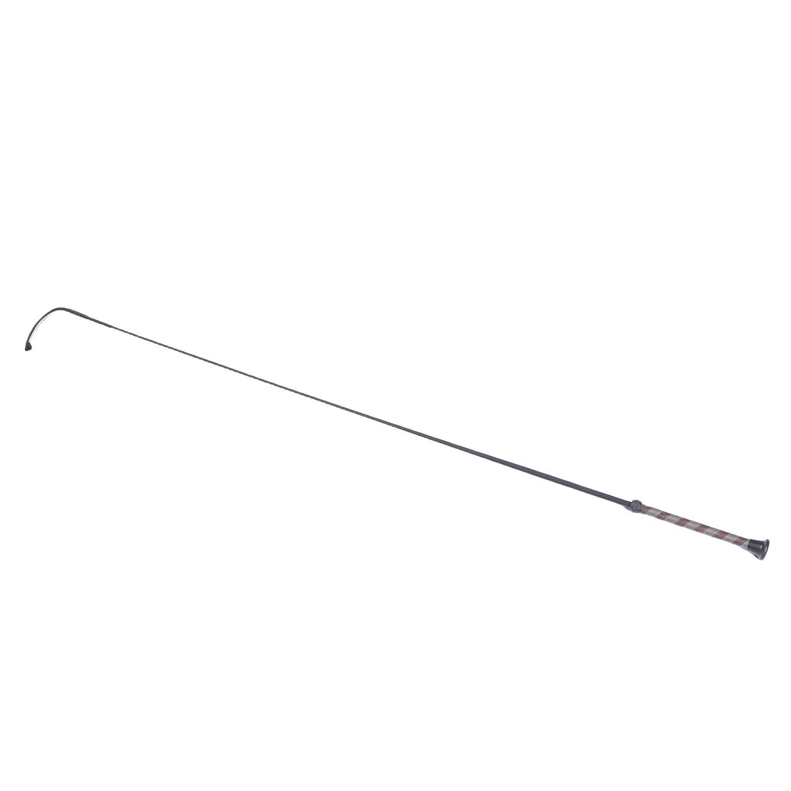 RiToEasysports Fusta de Caballo de Fibra de Carbono, Látigo de Montar de 110cm con Cabeza Tejida de Nylon para Entrenamiento Ecuestre