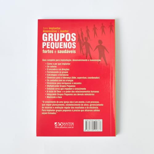 Como implantar, desenvolver e manter grupos pequenos, fortes e saudáveis