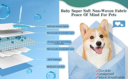 Bulldogology Pee and Potty Trainin1g Pads XL Size 80 Sheet Pack XLarge Size Pads Suitable for Puppies & All Large Dogs Leek Proof (Sheet Size 90 * 60 CM) Blue Color Pads 4