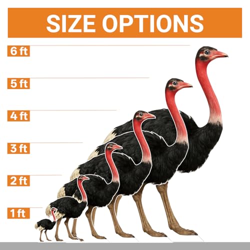 Image of Ostrich 4FT Life Size Cardboard Cutout, Standup, 1 PC, for Events | Ostrich Cardboard Cutout for Birthday Parties, Photo Backdrops, Party Decor, Animal Standup for Celebrations & Events