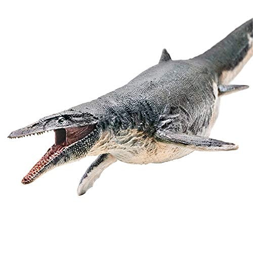 Amazon | PNSO 恐竜博物館 1/35 モササウルス Mosasaurus 恐竜 39cm級