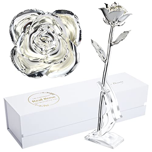 Image of Silver Rose, Silver Dipped Rose Made from Real Rose Best Gifts and 25th for Wife, Silver with Stand
