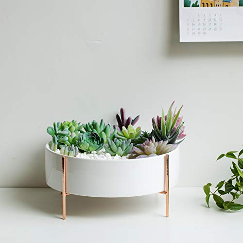 Kimisty Succulent Planter, Large Round Bowl With Drainage, Mid Century White Ceramic Pot With Stand, Succulent Garden Shallow Pot, Tabletop Centrepiece, Includes Gift Pack (Large, Rose Gold) #TOP4