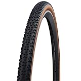 Schwalbe