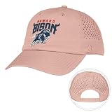 Desert Cactus Howard University Snapback Baseball Hat, HU Bison Unstructured BreezePro Performance Hat with Adjustable Silicone Strap (Design BP2-Pink A)