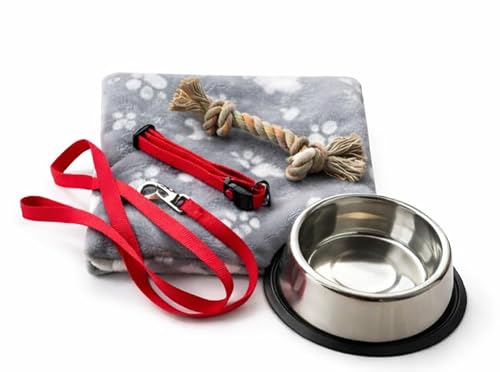 Hunde Starter Set – Leine, Halsband, Edelstahlnapf, Spielzeug & Decke – Erstausstattung für Welpen & kleine Hunde