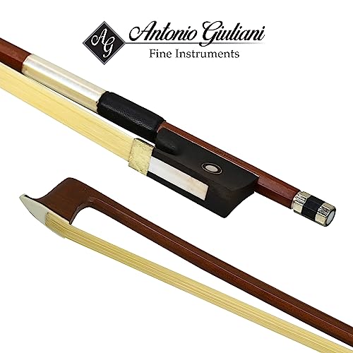 Professional Violin Beginner Full Size