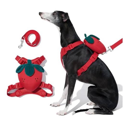 Are dog backpacks safe VETRESKA Strawberry Dog Harness Set
