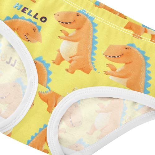 Joisal Cute Cartoon Orange Dinosaur Toddlers Underwear Floral 2t Cotton Little Girl Panties Aesthetic Briefs Underpants4