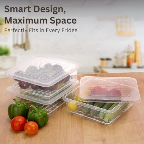 Image of GO STORE Pack of 2 Plastic Storage Containers Set for Kitchen | Freezer Storage Containers, Kitchen Storage Set, Fridge Storage Boxes for Fish, Meat, Vegetables, Fruits | Transparent (2500 ML)
