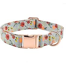 Metal Buckle Dog Collar, Durable Adjustable Dog Collar Soft for Small Medium Large Dogs 001-Flower11, M13-18in