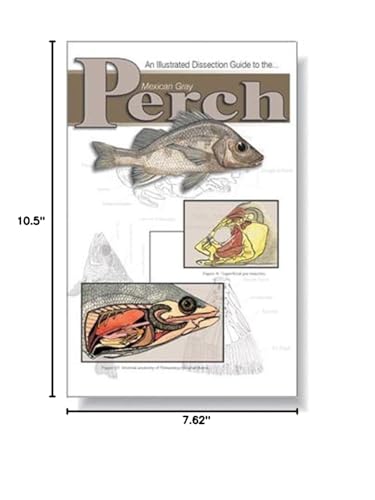 Image of Ranaco W4R5307 Dissection Guide Mexperch,Grade: 1 to 12, 0.12 inch Height, 5.62 inch Wide, 8.5 inch Length