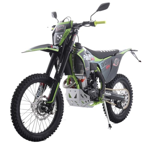 X-PRO Paladin 300 EFI Dirt Bike