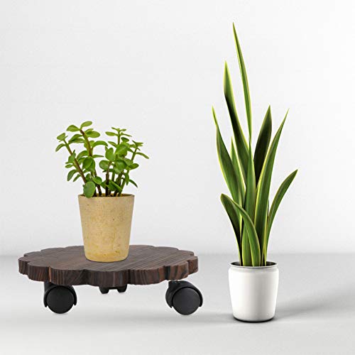 Doitool Hand Trucks Heavy Duty Plant Caddy With Easy Moving Caster Wheels Round Movable Planter Dolly Trolley Tray Pallet Outdoor Indoor Tree Flower Stand Planter 20Cm Rectangular Planter #TOP6