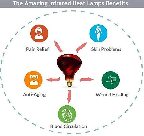Image of Murphy ML-004 Infrared Heat Therapy Lamp (Black) - (Pack of 6)