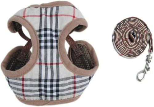 Pettorina Cane Taglia Piccola, Bande Regolabili, Cinghia per Cani con Morbida Imbottitura e Rete di Ventilazione per Cani di Piccola Taglia Running, Hiking & Training (a,S)