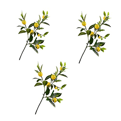 Des Pots Vase Zitronen Die 15 besten Produkte im Vergleich