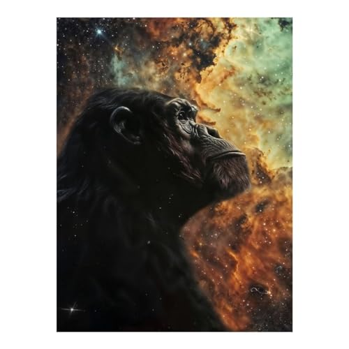Kit peinture diamant Nébuleuse et chimpanzé POLIUAWS pour décoration murale adulte 30x40cm