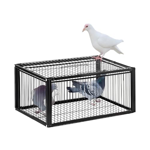 Pigeon Trap Cage, One-Way Entrance Escape-Proof Bird Traps, Easy to Install Outdoor Harmless Live Birds Cages for Catch Pigeons, Sparrow, Chicken, Lofts (Standard)