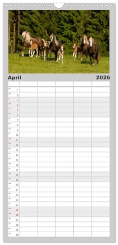 Familienplaner 2026 - Faszination und Vielfalt - Schwarzwälder Kaltblut mit 5 Spalten (Wandkalender, 21 cm x 45 cm), CALVENDO: Kraftvoll, elegant, ... Pferd durch das Jahr (CALVENDO Tiere)