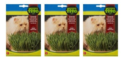 Semillas de Hierba para Gatos (Pack 3 sobres x 20 gr) 60 gr Total