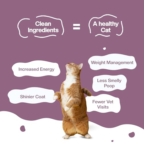Image of BLEP All Recipes 100% Natural Wet Cat Food | Tuna, Mackerel, Sardine, Juicy Chicken & Cheeky Chicken | Human Grade, Zero Preservatives | High Protein Meal for Kittens & Adult Cats | 50g | 60 Pack