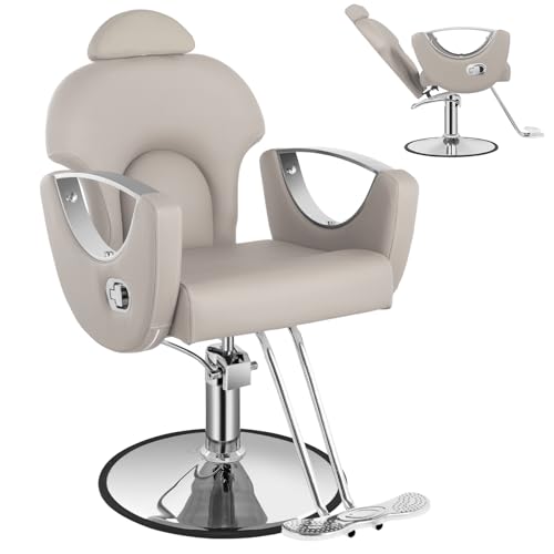 Salon Barber Chair, Reclining Salon Chair for Hair Stylist, Hair Chair with Heavy Duty Hydraulic Pump, 360 Swivel Styling Braiding Hairdresser Chairs for Home Barbershop, Light Gray Sliver