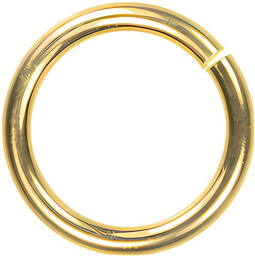 uGems 14K Gold Jump Lock Ring 19 Gauge 4.5mm Tiny Qty=1