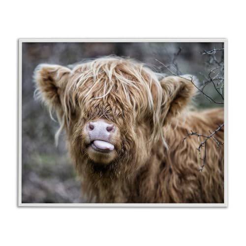 Baby Cattle Farm Photography, 11 x 14 Inch Framed Giclée Print