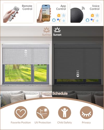 Smart home Alexa hub