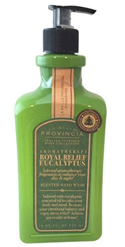La Bella Provincia Aromatherapy Scented Hand Wash (Royal Relief Eucalyptus)