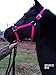 Horse Halter, Foal to Draft Size 3 Ply Handmade (Mini, Turquois)