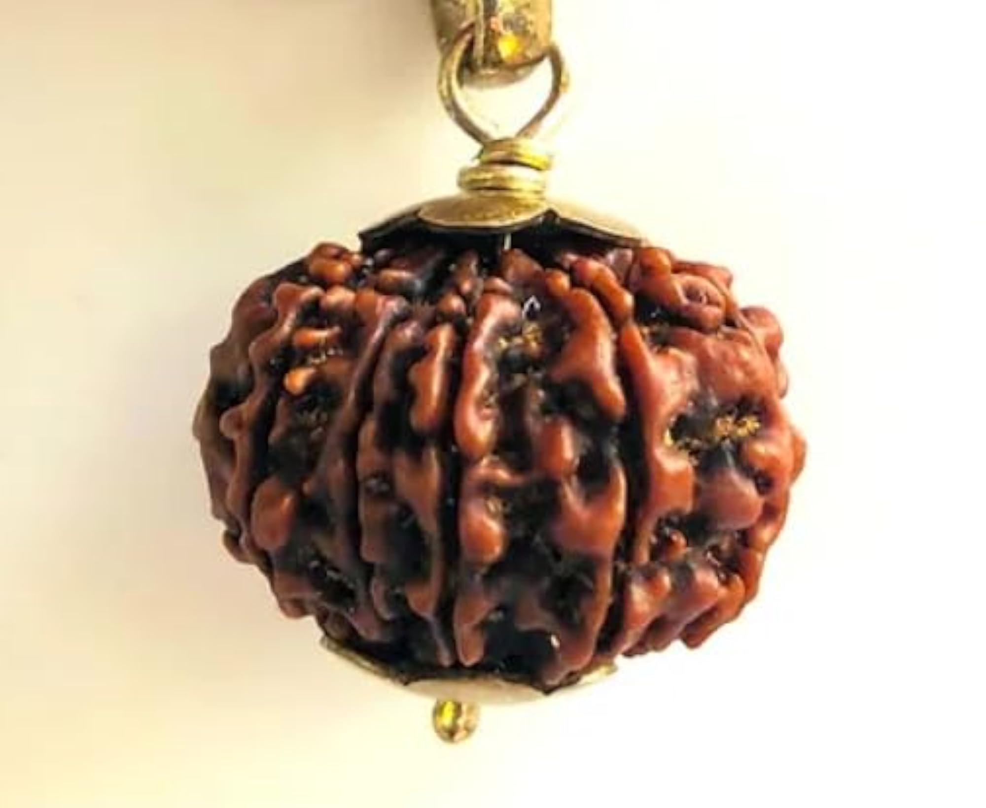 Pure 11 Mukhi Rudraksha Bead